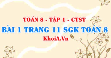 Bài 1 trang 11 SGK Toán 8 Tập 1 Chân trời sáng tạo